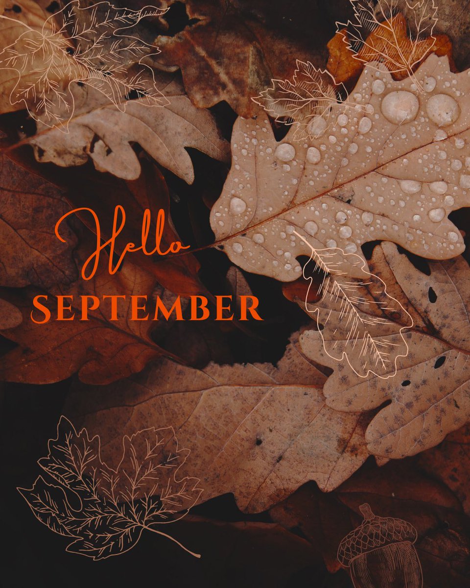LegacyGutter's tweet image. Hello September • Hello Rain ☔️🦠🍂

Moss left untreated can cause significant damage and degrade the structural integrity of your roof.

Don’t FALL behind! Keeping your gutters cleaned in the fall is the best way to be ready for winter.

Whatever the job, We Gut’er Done! 👍