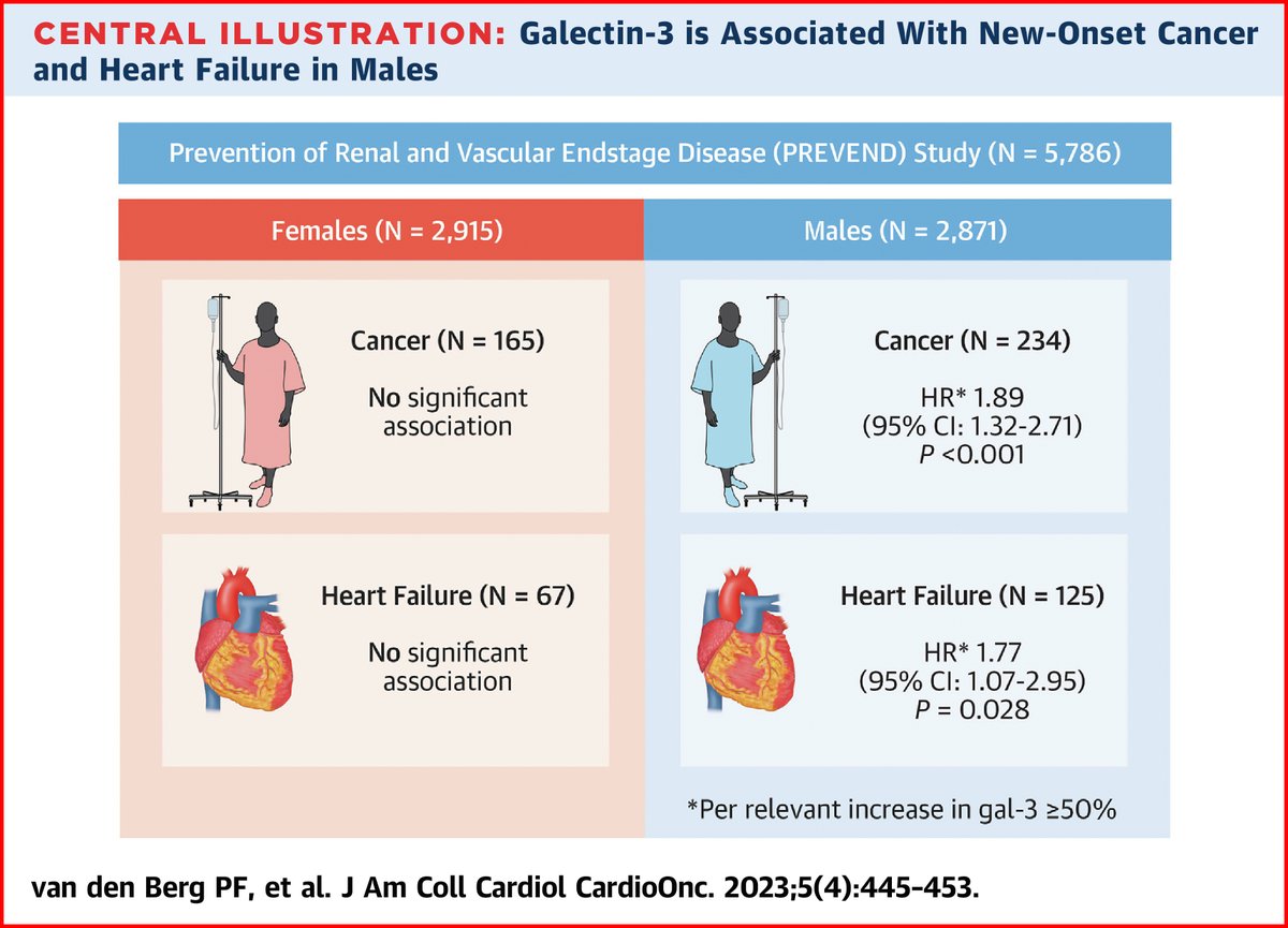 JACC Journals (@jaccjournals) on Twitter photo Galectin-3, a marker of fibrosis, is associated with new-onset cancer and new-onset #HeartFailure in males, but not in females. bit.ly/3Z5zjgx
#JACCCardioOnc #CardioOnc #CardioTwitter <a href="/WCFWMeijers/">Wouter Meijers</a> Galectin-3, a marker of fibrosis, is associated with new-onset cancer and new-onset #HeartFailure in males, but not in females. bit.ly/3Z5zjgx
#JACCCardioOnc #CardioOnc #CardioTwitter <a href="/WCFWMeijers/">Wouter Meijers</a>