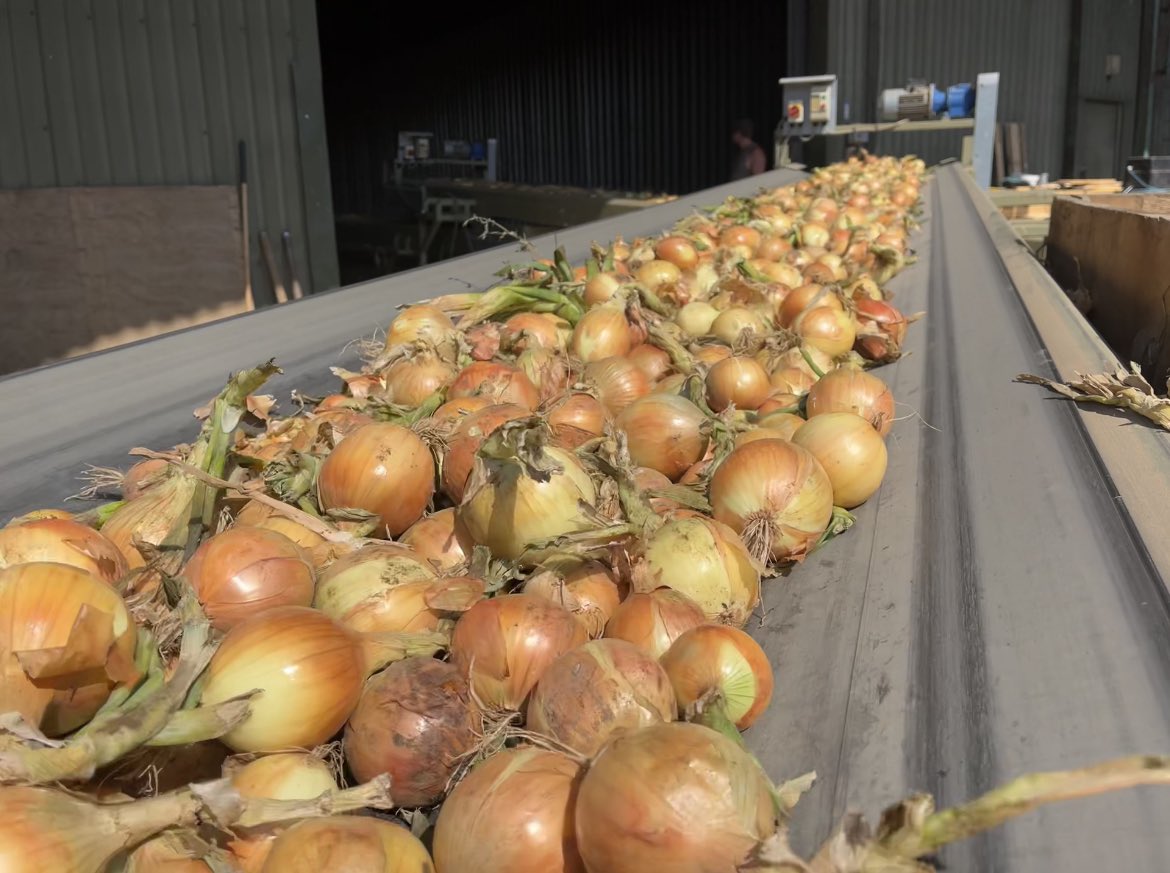 Frederick Hiam Ltd tweet media