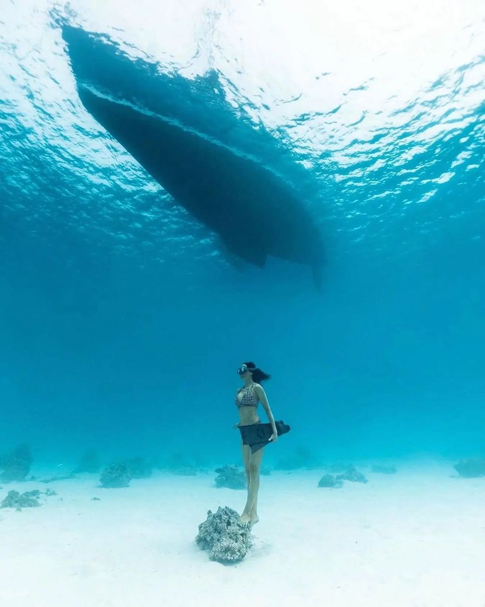 scubadivingyard's tweet photo. But call it love if you will.

#alchemy #alchemyfins #freediving #alchemyv3 #underwaterphotography #freedive #carbon #carbonfins #bifins #diving #ocean #nature #fitness #explore #freedivingphotos https://t.co/k3v2AhhBK6