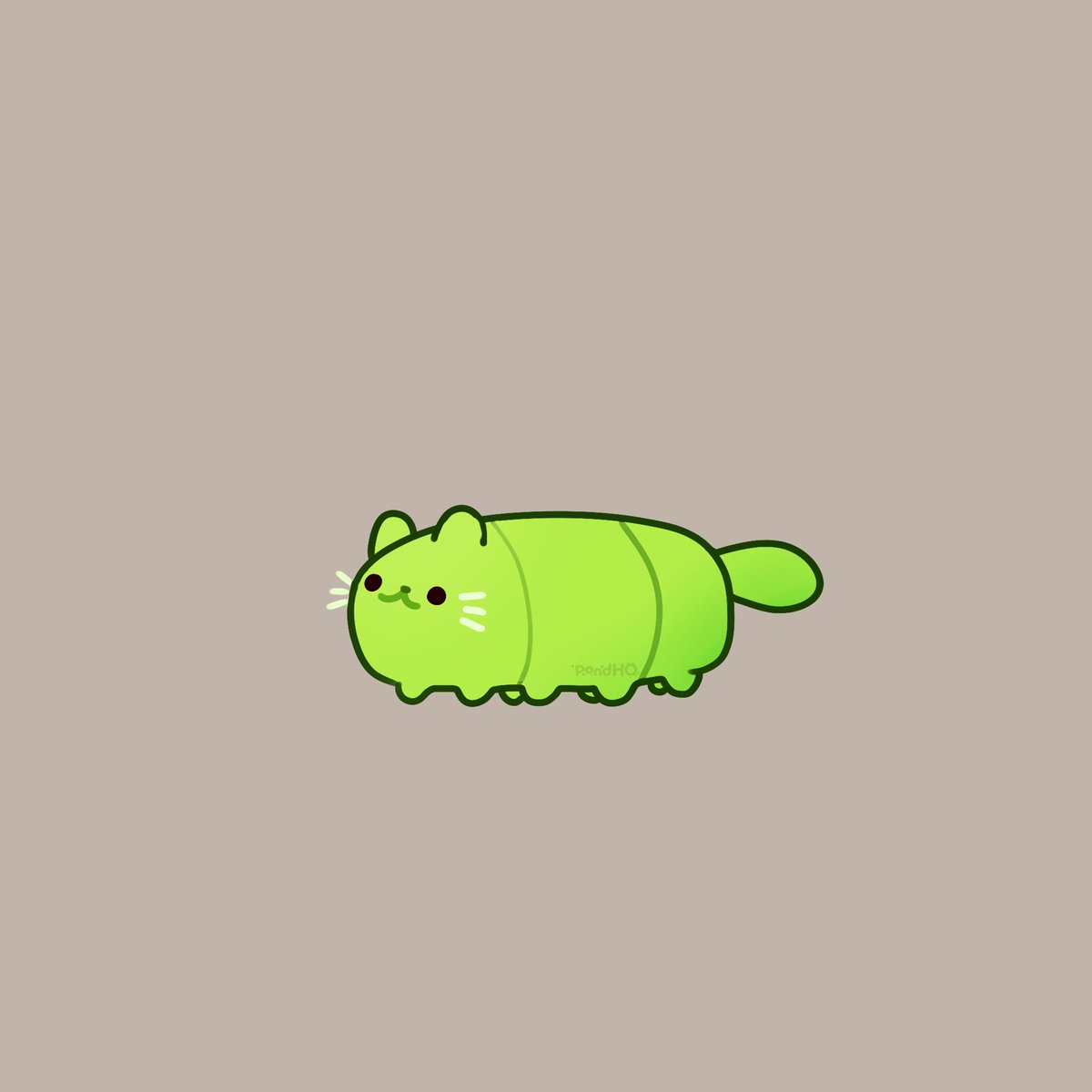 PondHQShop's tweet image. I was thinking about CATerpillars 
Meet Chad