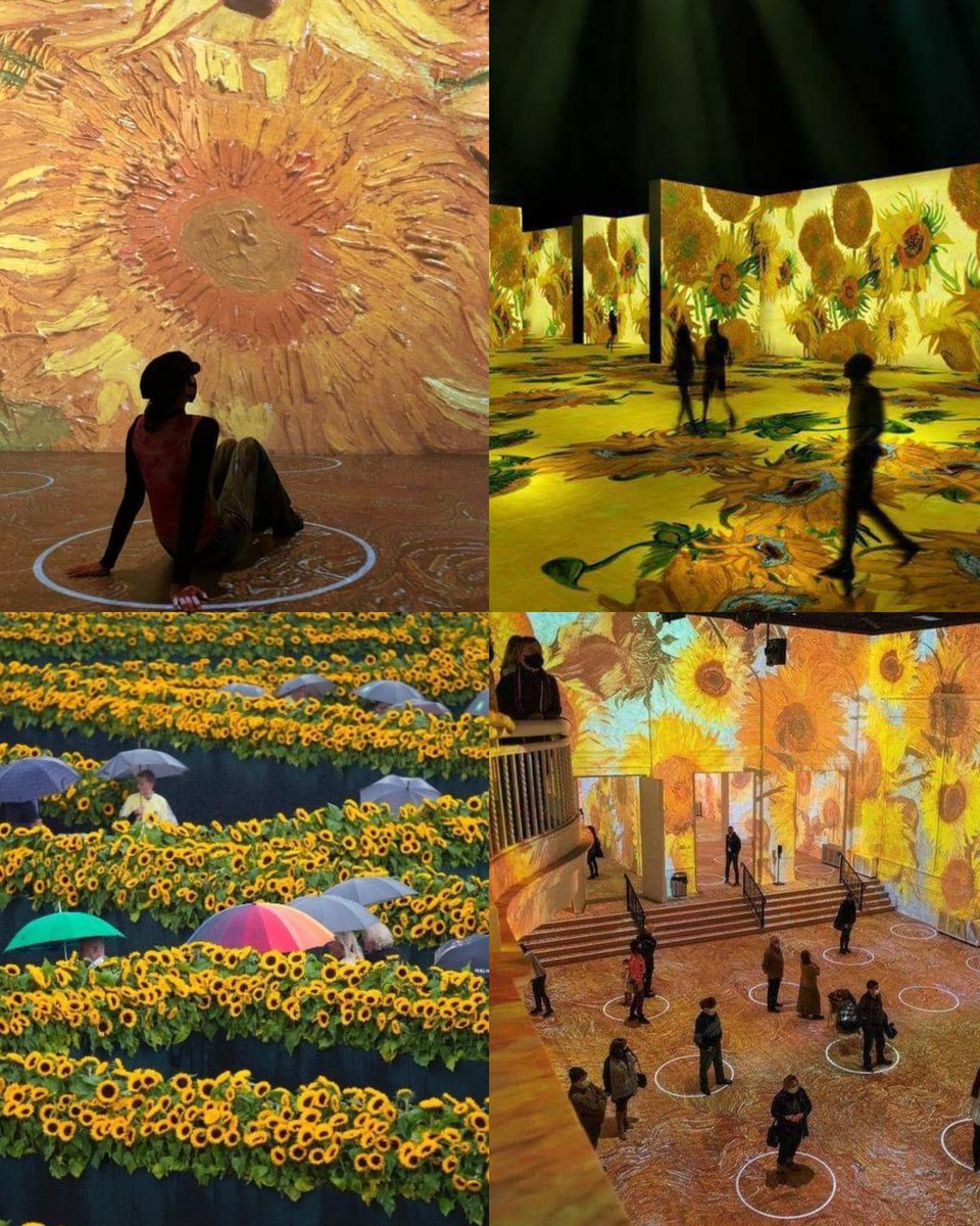 artistryhere's tweet photo. Van gogh exhibit — yellows. https://t.co/NTXm3W0SOK