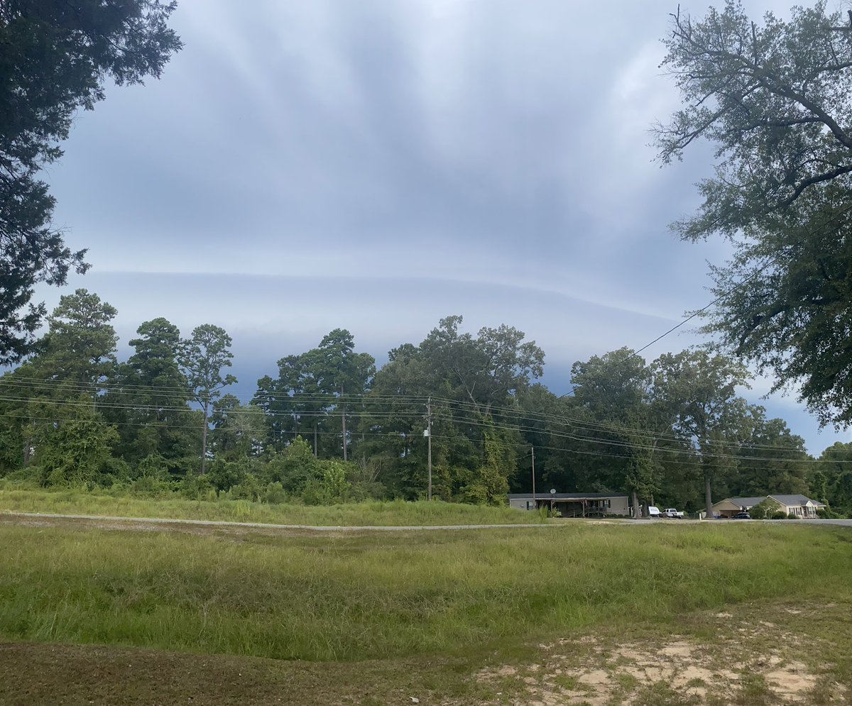 TaylorIngramWx's tweet photo. This rain is very welcome because my yard sure needs it!! #ARWx https://t.co/NTCdtSBpwJ