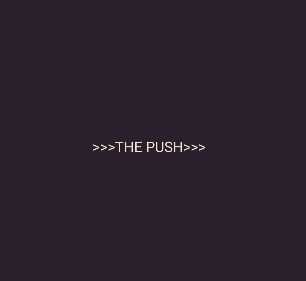 At a point in life, we all need a hand, some sort of help to push us through life. This page offers motivational, health &amp; fitness, and general life coaching. Life is better when we have someone to push us through.  ThePush.