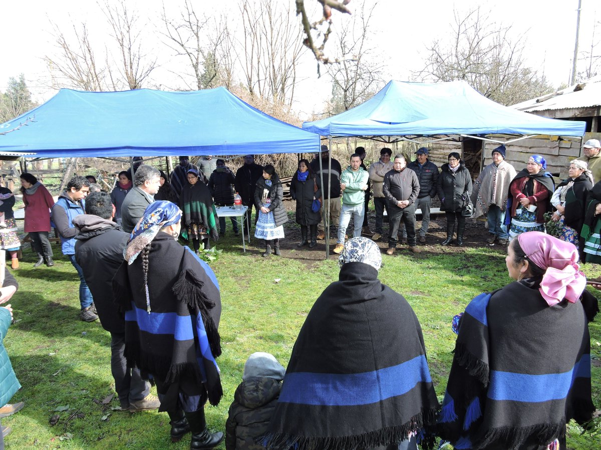 CONADI_Gob's tweet photo. En #PadreLasCasas #Dankilko Encargada Nacional de Chile Indígena #CONADI participó junto a 12 comunidades de la Mesa Territorial Lof Trayen en cierre de proyectos de la Fase II y en homenaje a sus dirigentas por el #DíaMujeresIndígenas #Araucanía #LeyIndígena30años #CONADI30años https://t.co/I7Gg9w6fBq