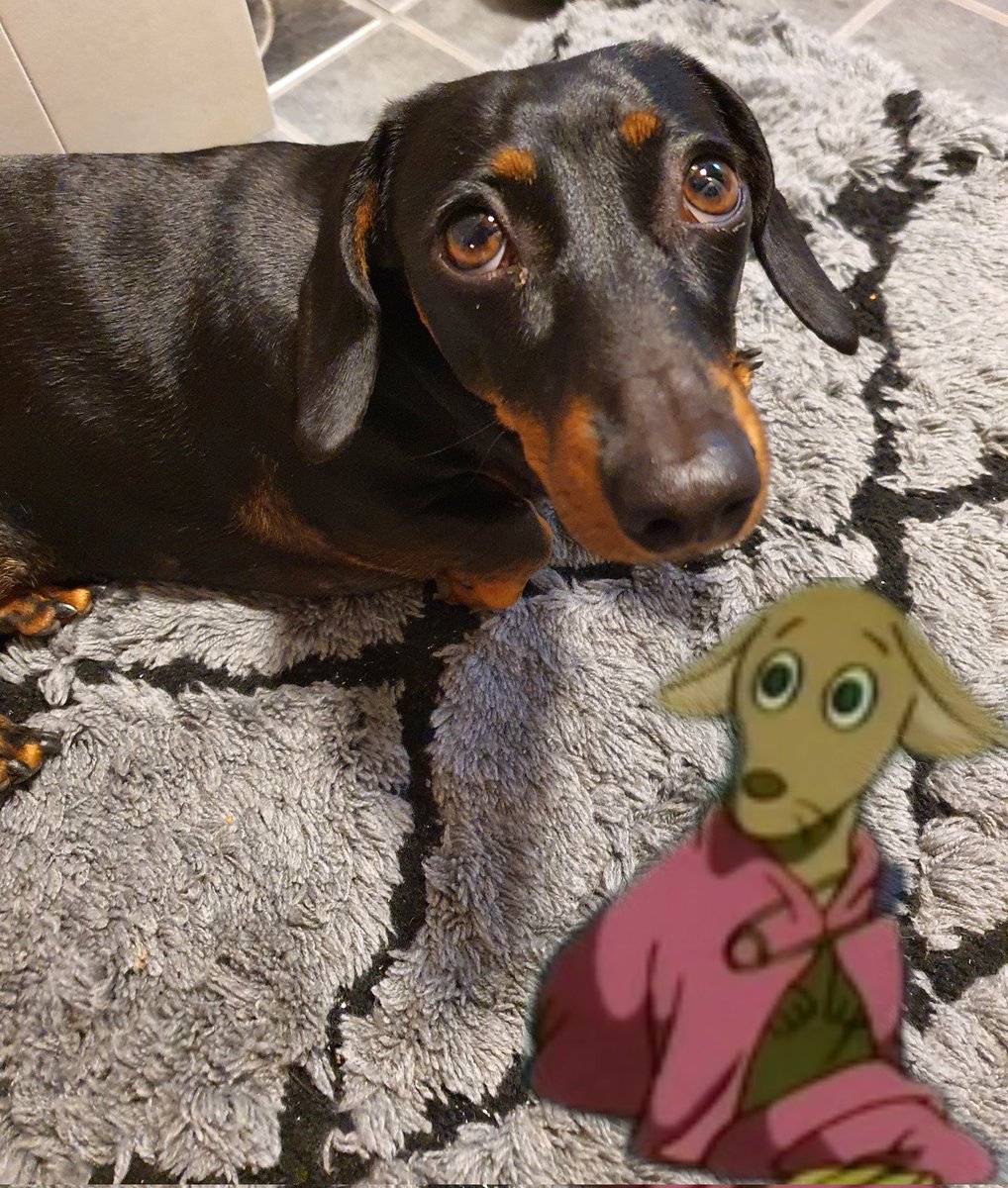 JoriDoberman's tweet photo. En sano ratkaisseeni Muumien castingiä, mutta luulen olevani jäljillä
#surku https://t.co/Jh5VyUrPYq