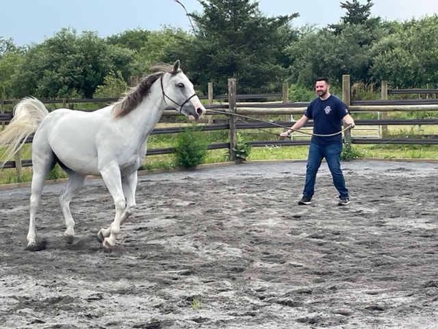 warrior_ranch's tweet photo. When human &amp; horse need to relieve stress, it's groundwork time. The human's body language conveys intention &amp; emotion to the incredibly perceptive horse, who mirrors that energy. These exercises build trust, rapport, offering human &amp; horse a sense of companionship, understanding https://t.co/ro5hj2ltr3