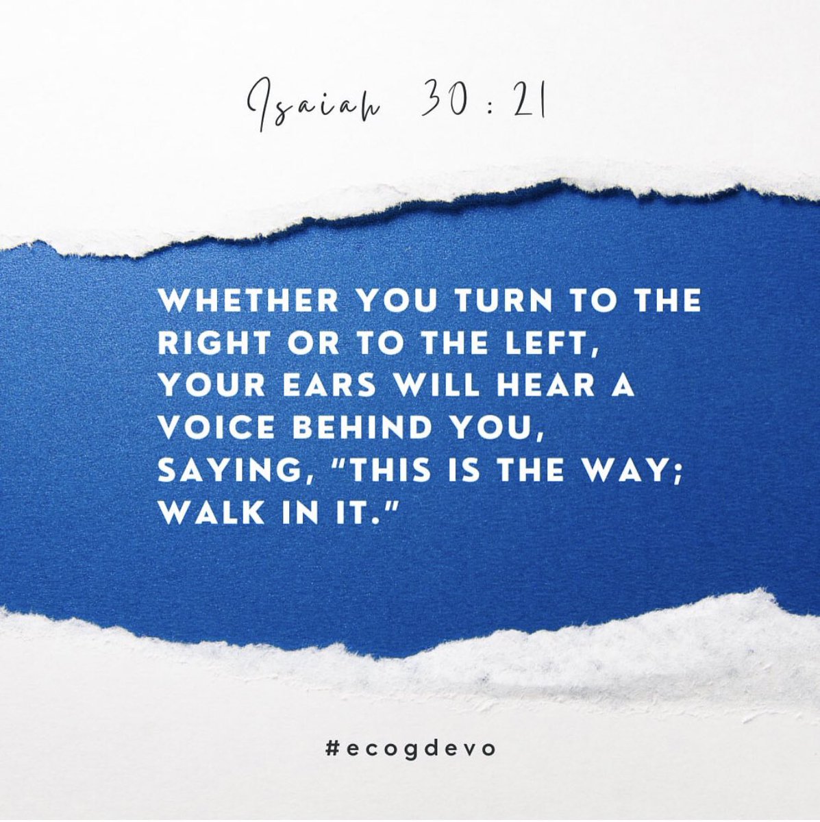 #ecogdevo