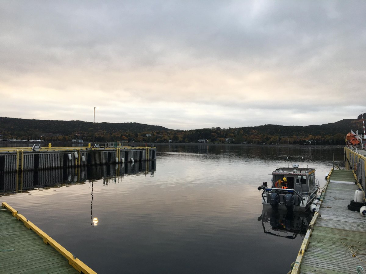 Katleen Robert (@katleenrobert) on Twitter photo We are recruiting! Opportunities for MSc projects in <a href="/4DOceansLab/">4D Oceans Lab</a> <a href="/MUNGeog/">MUN Geography</a> <a href="/marineinstitute/">Marine Institute, Memorial University</a>. If you are interested in understanding the spatial patterns of benthic fauna, visit:
mi.mun.ca/graduateopport⦠We are recruiting! Opportunities for MSc projects in <a href="/4DOceansLab/">4D Oceans Lab</a> <a href="/MUNGeog/">MUN Geography</a> <a href="/marineinstitute/">Marine Institute, Memorial University</a>. If you are interested in understanding the spatial patterns of benthic fauna, visit:
mi.mun.ca/graduateopportā¦