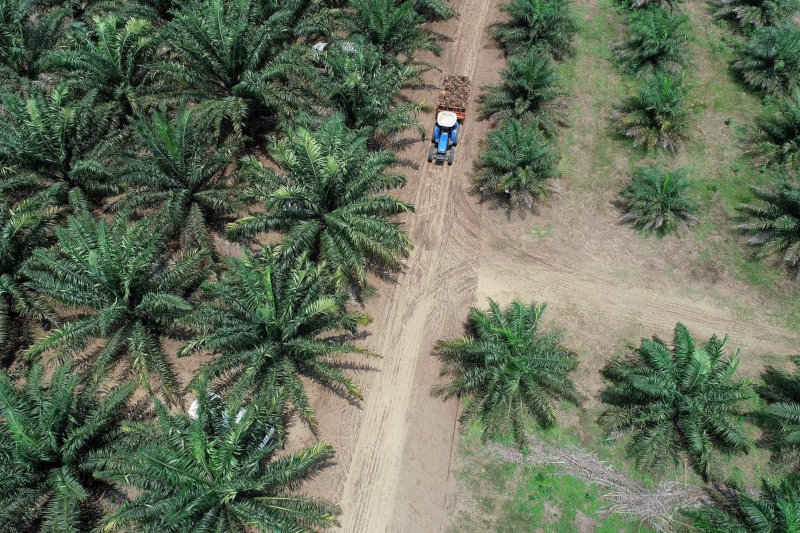 [READ AGAIN] Exploring agricultural opportunities in Congo: Mango, maize, and palm oil 🥭🌽🌴🇨🇬 Read more: buff.ly/3Htye9i 

Mentions: <a href="/micheldjombo/">Michel Djombo</a> <a href="/GTCCongo/">GTC</a> <a href="/ca_agri/">CA Agri</a>