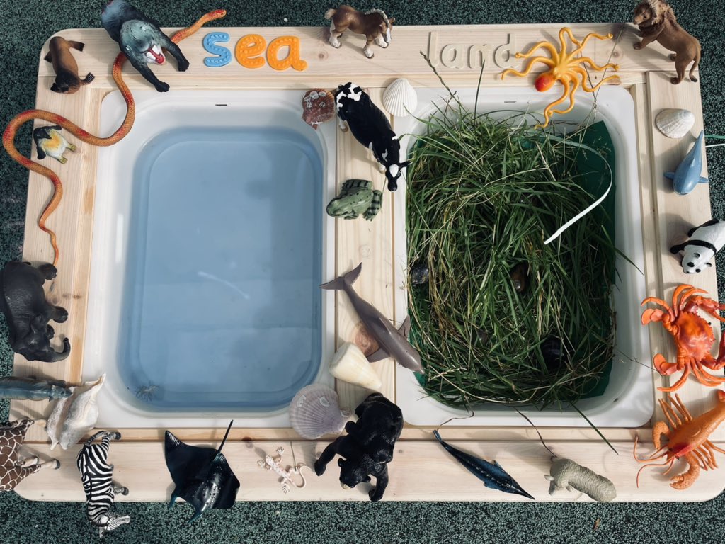 MrsGelston's tweet image. Land &amp;amp; Sea Sensory Play. Sensory Play improves the cognitive, physical, social, &amp;amp; emotional well-being of children. Through play, children learn about the world &amp;amp; themselves. #p1a #p1fun #flipsat #ikeaed #ikea #sensoryplay #play #learningthroughplay
#playistheway #cps #fun