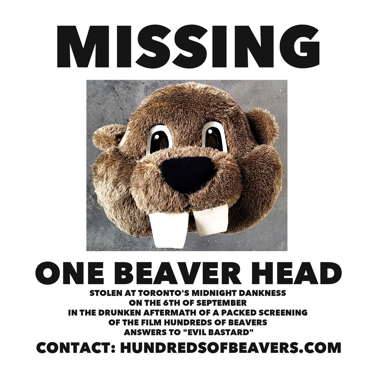 beaversfilm's tweet photo. we thought Canadians were supposed to be nice. please share... we actually DON'T have hundreds of these lying around.
#HundredsOfBeaversMovie #LostAndFound #MissingBeaver #Missing #Stolen #Toronto #BeaverDankness #MidnightDankness #MidnightMadness #Dankness #TIFF #TIFF23 https://t.co/HwWZERBYz8