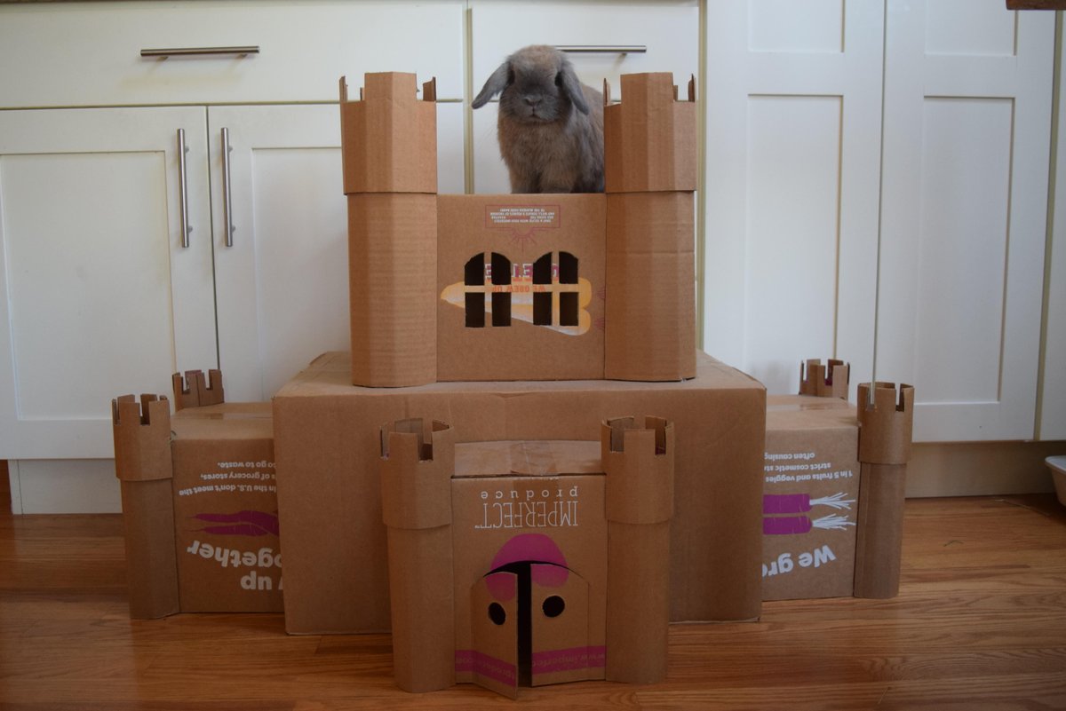 #tbt to Theo and his bunny castle made of vintage Imperfect boxes! Fit for a king 👑