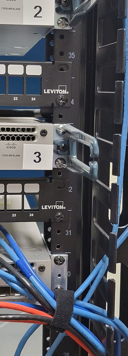 𝔅͛𝔯͛𝔦͛𝔞͛𝔫͛ ͛𝔚͛𝔥͛𝔢͛𝔩͛𝔱͛𝔬͛𝔫͛ tweet media