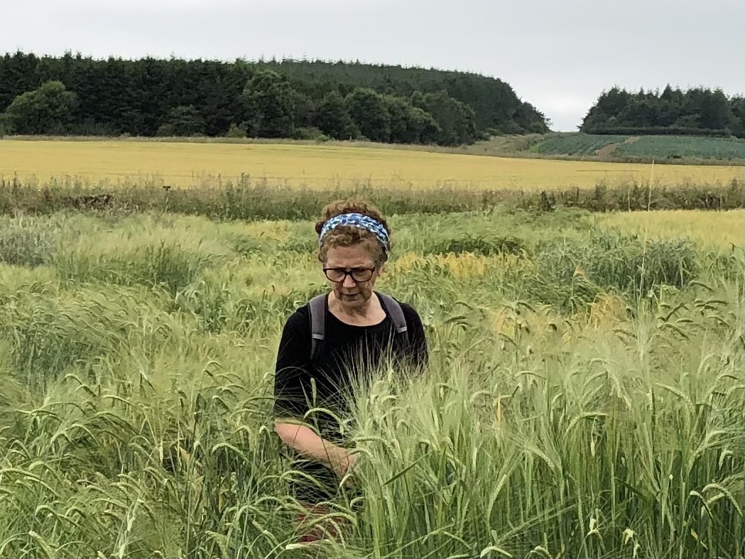 Pete Hedley (@hedley_pete) on Twitter photo Congratulations to Joanne @SocietyCrop for becoming a Visiting Associate Professor for the University of Highlands and Islands <a href="/ThinkUHI/">UHI</a>
<a href="/JamesHuttonInst/">James Hutton Institute</a> <a href="/IntBarleyHub/">International Barley Hub</a> Congratulations to Joanne @SocietyCrop for becoming a Visiting Associate Professor for the University of Highlands and Islands <a href="/ThinkUHI/">UHI</a>
<a href="/JamesHuttonInst/">James Hutton Institute</a> <a href="/IntBarleyHub/">International Barley Hub</a>