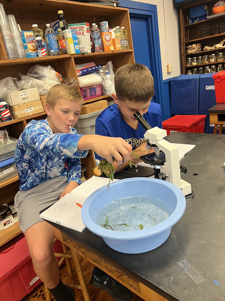 PiedmntMdSchool's tweet photo. 7th grade life science students observed live plants under the microscope to study plant cells #pcmsproud https://t.co/qj3TRobgIn