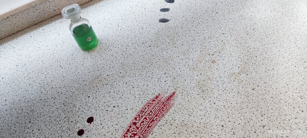 ClywedogScience's tweet photo. Something awful has happened! Can the year 8 forensic supersleuths figure out who dunnit?!?! https://t.co/9w5kHdOy7o
