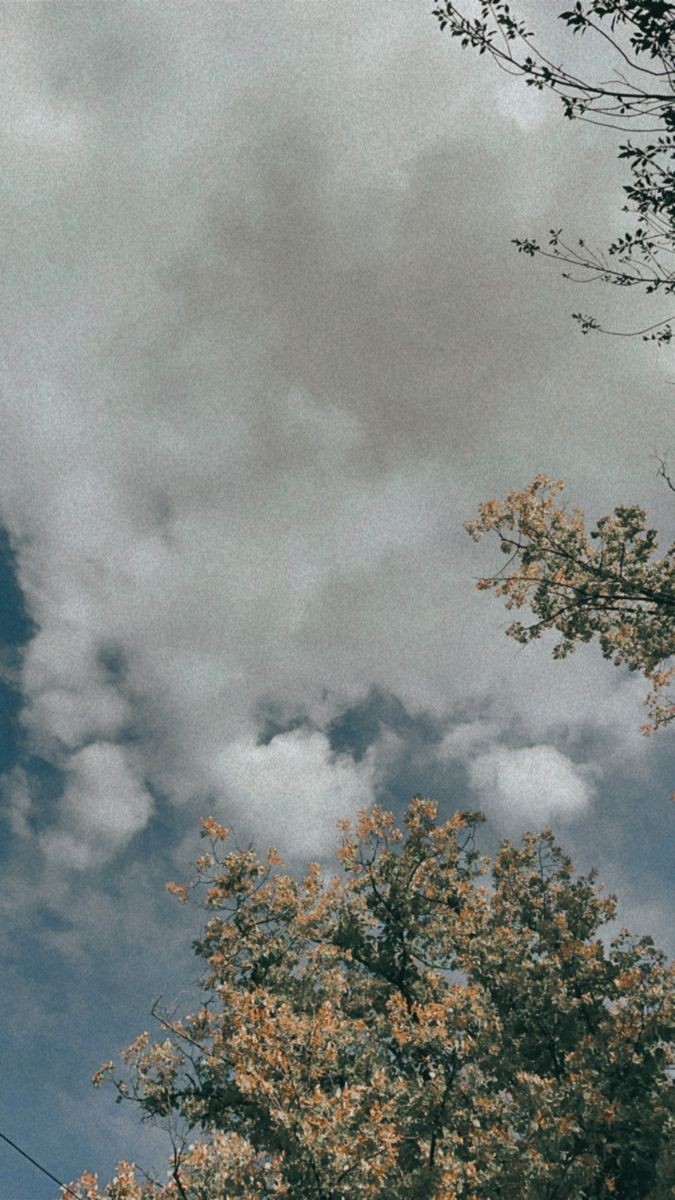 "Rabbim! Gönlüme ferahlık ver. İşimi bana kolaylaştır."

Tâhâ Suresi / 25-26