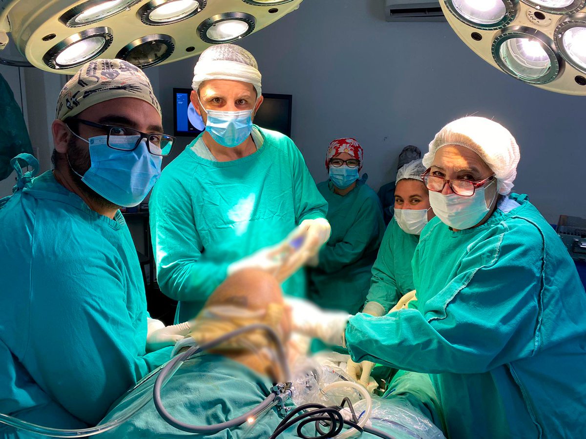 HospitalRossiLP's tweet photo. 🏥👨‍⚕️👩‍⚕️ Realizamos el primer implante de un aloinjerto en el hospital Rossi
 
Este trasplante, es un fragmento de tejido que se obtiene de un donante cadavérico, se utilizó para la reparación de una rotura multiligamentaria de rodilla.

Sigue👇 https://t.co/GX5Q7bVzKF