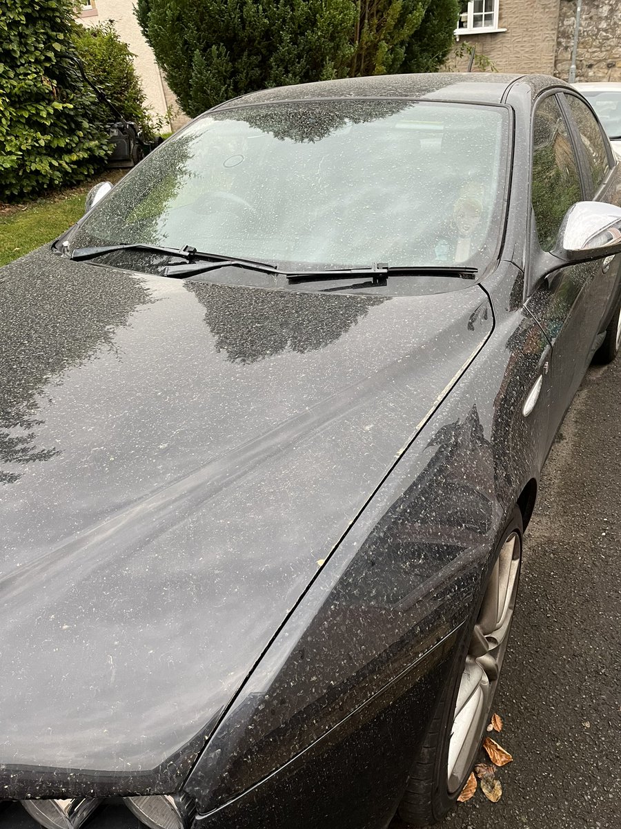 Jason Kinsley-Willis tweet media