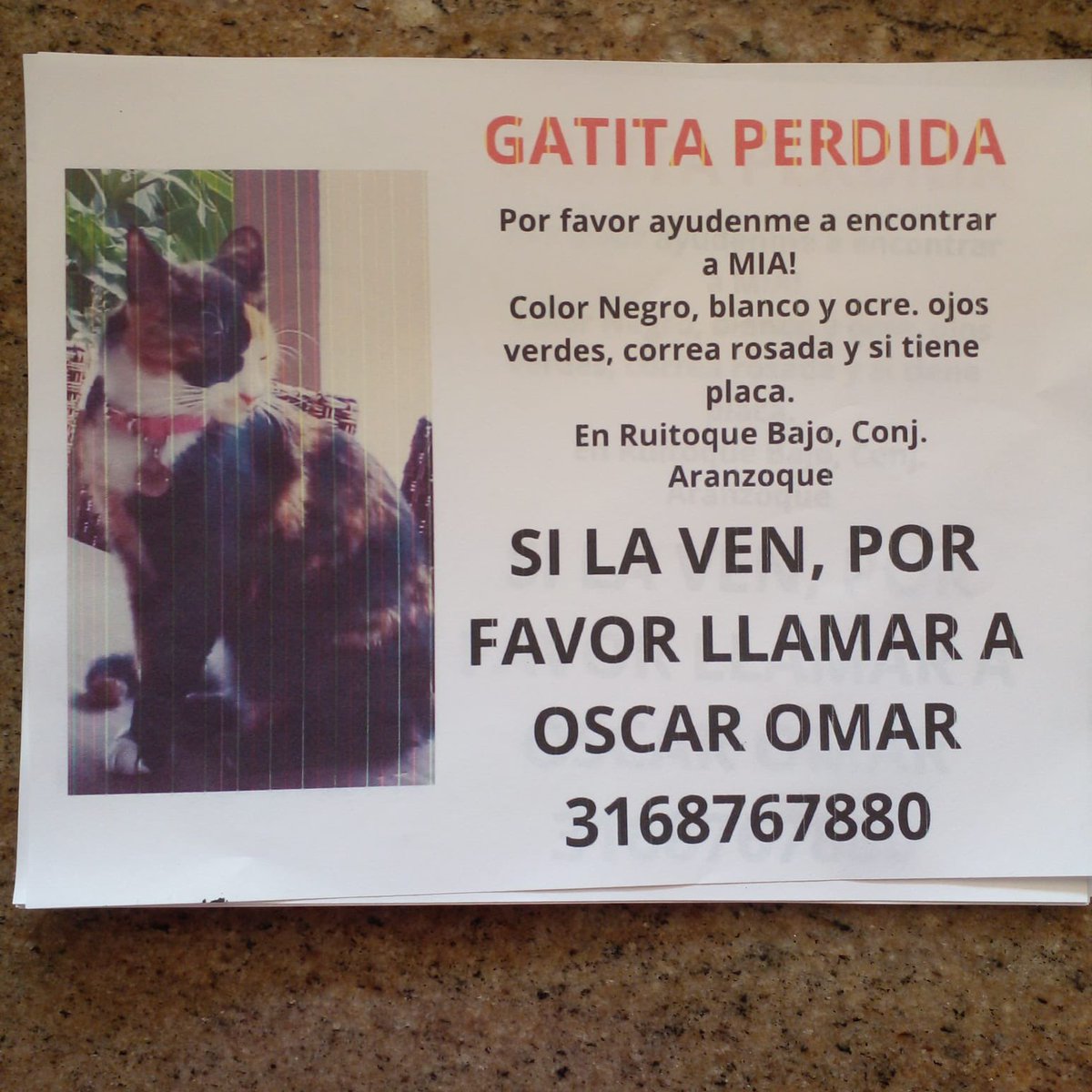 Por favor ayúdenme para encontrarla. Es muy nerviosa.