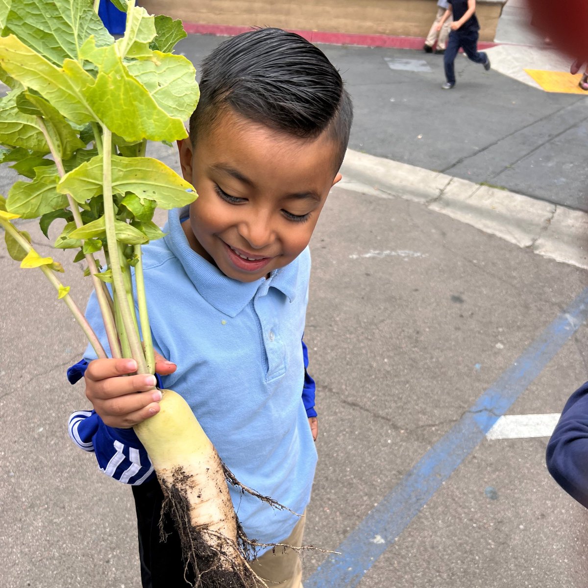 September is National🍇Fruits and Veggies🥕month, you say? Want a round-up of some fruit and vegetable-related resources? Find them here, on our blog: learnaboutagathome.wordpress.com