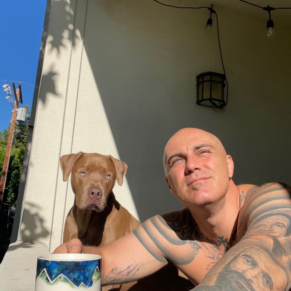HaigoB's tweet photo. Look at this handsome guy.. #Neo #pitbull #espresso #NOBODYCARES #NFL season opener tonight…  #LFG https://t.co/1ec0a8g2sr