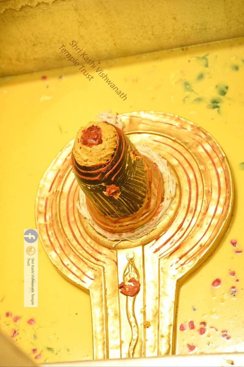 ShriVishwanath's tweet photo. आज  दिनाँक 07-09-2023 को श्री काशी विश्वनाथ मंदिर के सप्तऋषि आरती के दर्शन।  #ShriKashiVishwanath #shiva #mahadev #baba #templespa #darshan #blessings #saptrishi #vishwanath #KashiVishwanathDham https://t.co/qeFPYhbc8m