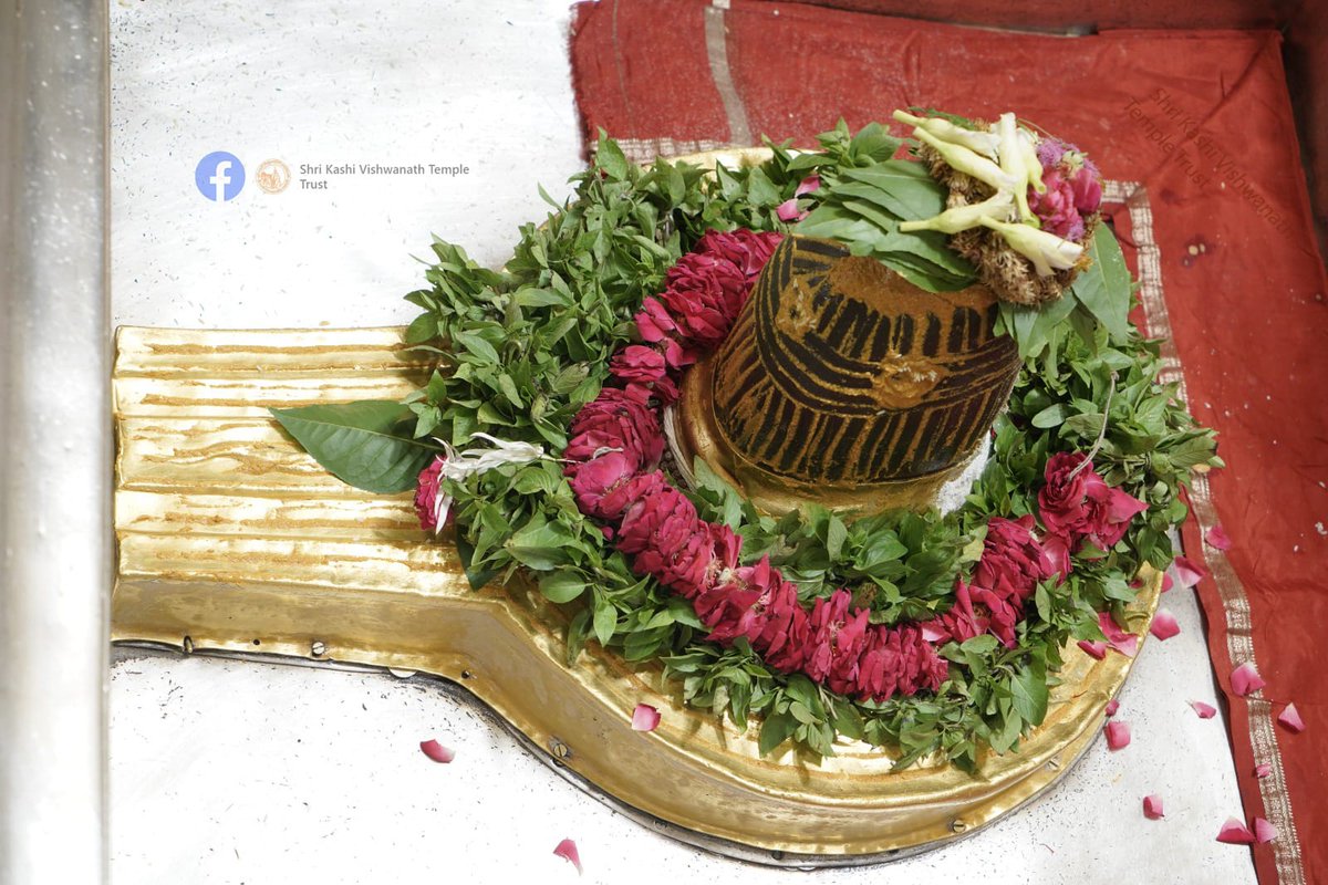 ShriVishwanath's tweet photo. आज दिनाँक 07-09-2023 को श्री काशी विश्वनाथ मंदिर के श्रृंगार आरती के दर्शन।  #ShriKashiVishwanath #Shiv #Mahadev #Baba #Temple #Darshan https://t.co/YPH9m0nj6q
