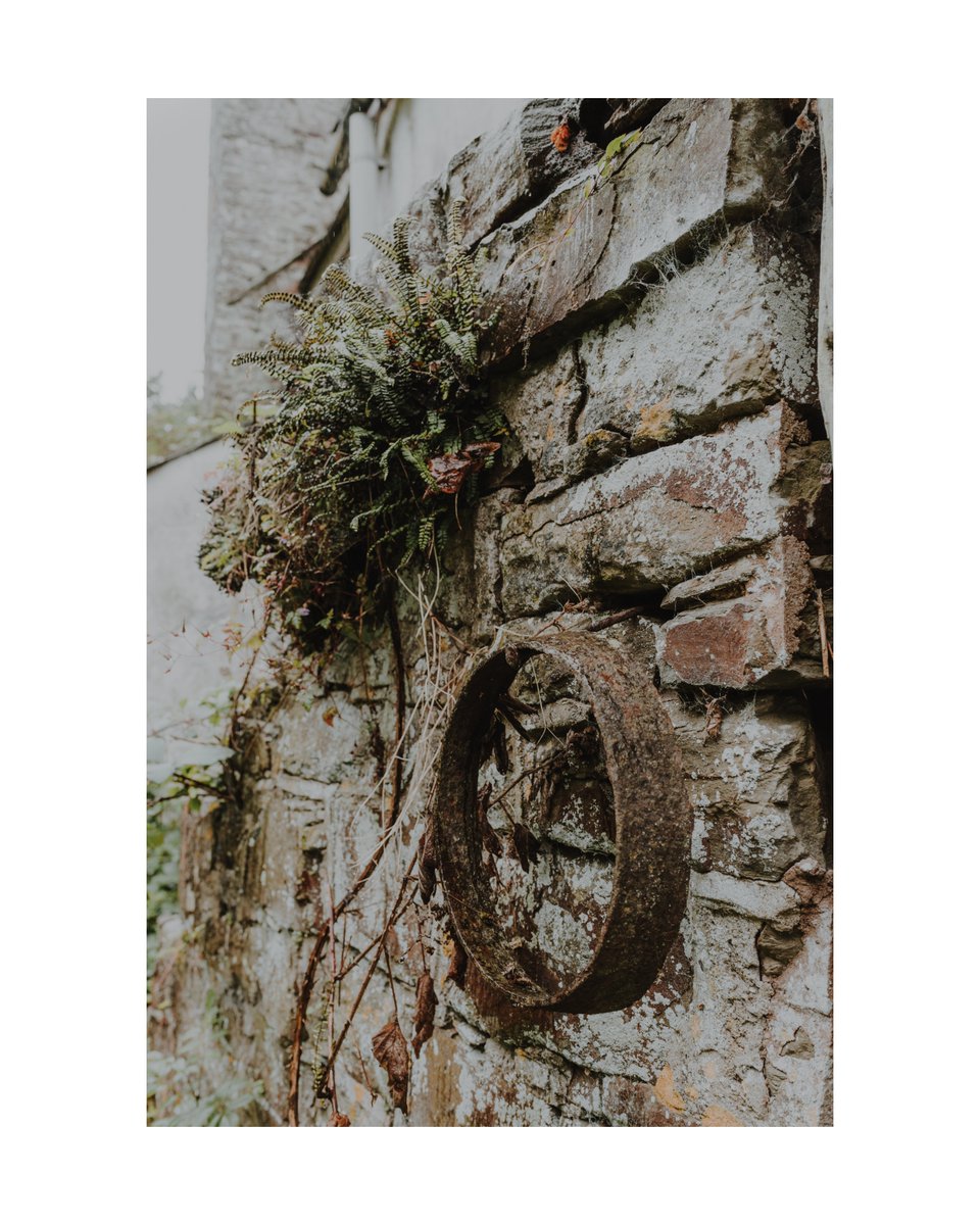 Kate Cullen Coaching & Photography tweet media