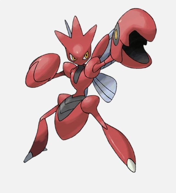 Tyler the Pokémon coordinator🎀 tweet media