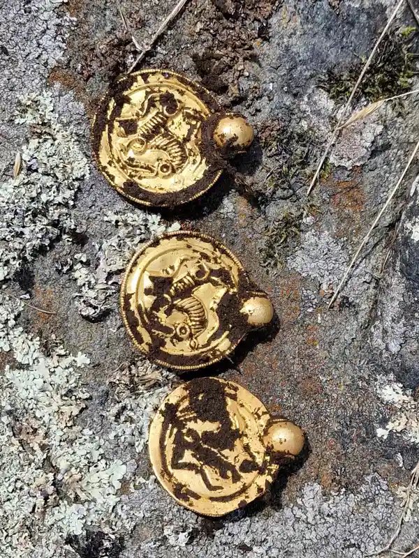 A man from Norway found 100g of gold from 1500 years ago using a newly purchased metal detector. 

Incredible. 

Another example of gold being immortal.