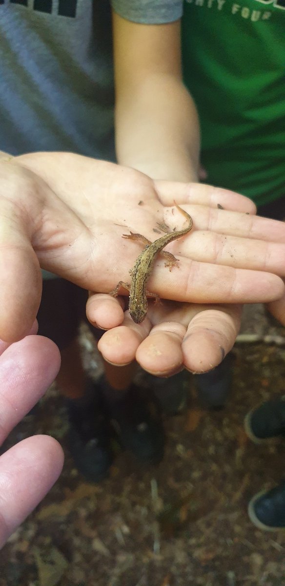 James Coring tweet media