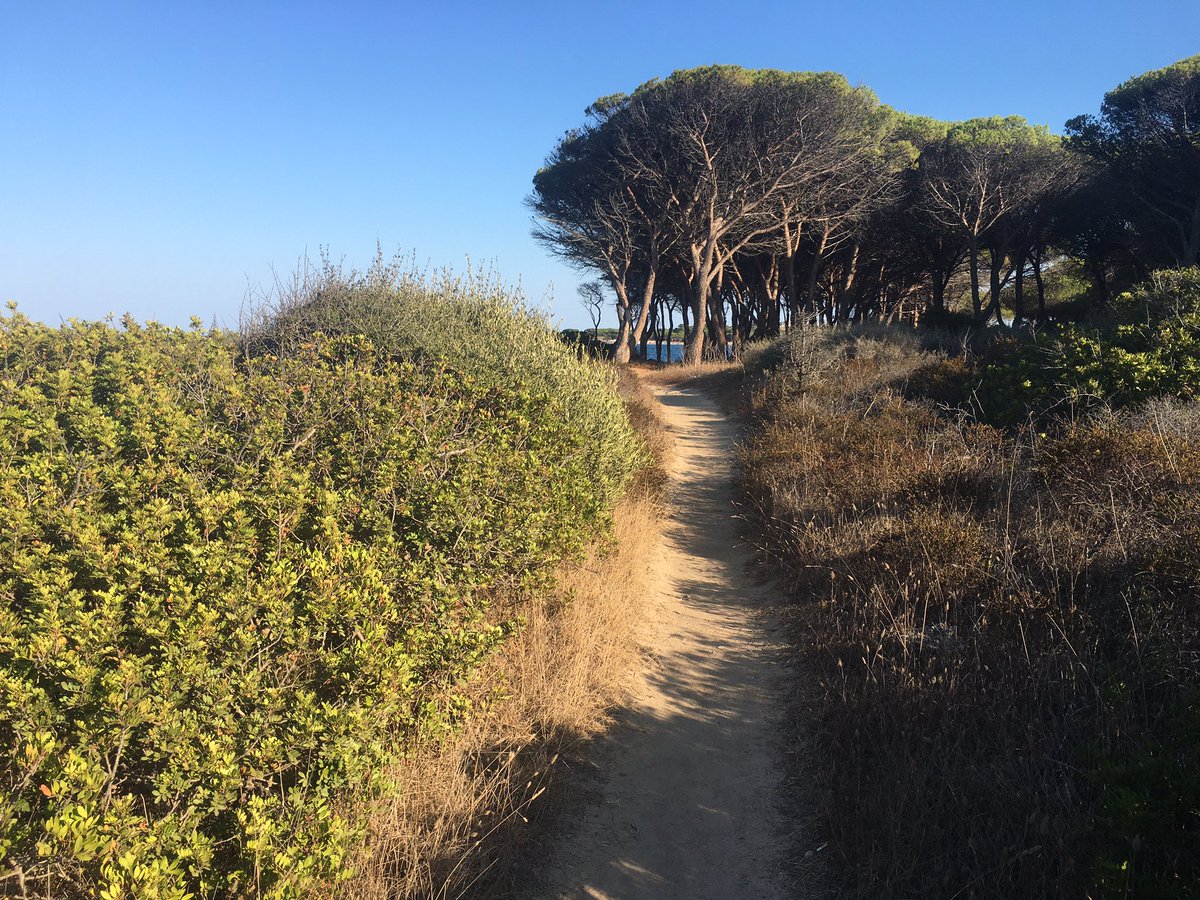 VertebratePublishing (@vertebratepub) on Twitter photo Using the <a href="/skamperapp/">Skamper.app</a> to find the best runs wherever I happen to be. Quite like its ability to find the best trails. Using the <a href="/skamperapp/">Skamper.app</a> to find the best runs wherever I happen to be. Quite like its ability to find the best trails.