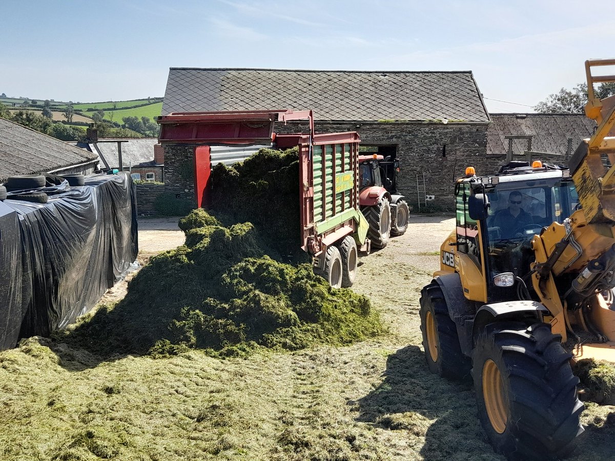 HallidayLou's tweet photo. Silaging with one of our forage wagons and the JCB for buckracking. 

#foragewagon #silaging #silage2023 #JCB #buckraking #grass #clover #farming #backbritishfarming #tractor https://t.co/9d0pU5bdQN