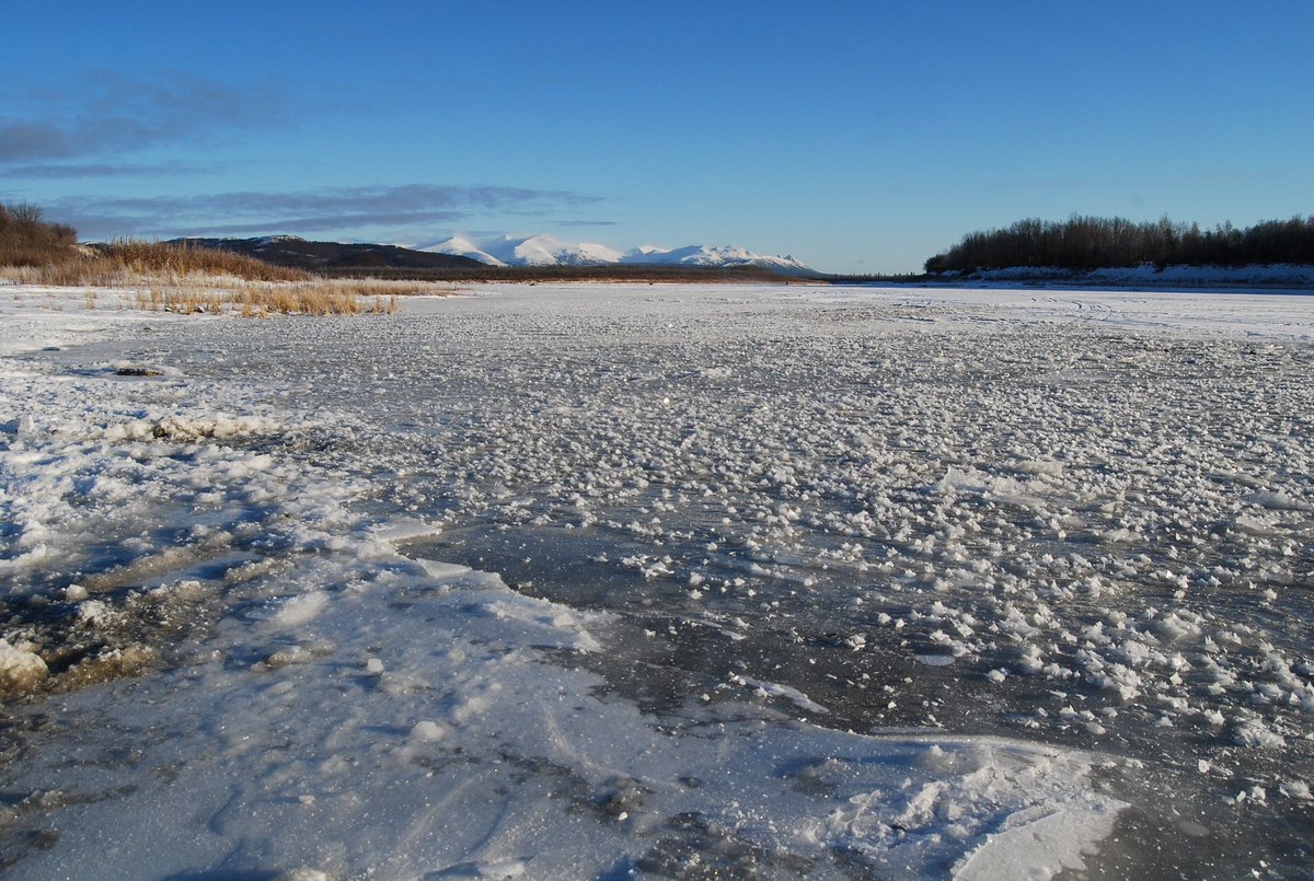 meiganalua's tweet photo. Frozen #KuskokwimRiver as it comes through #Aniak, #Alaska

 #hacerfotos  #ThePhotoHour #StormHour 
#fotografia #photooftheday #photography #fotos https://t.co/U3ZxHIpK2P