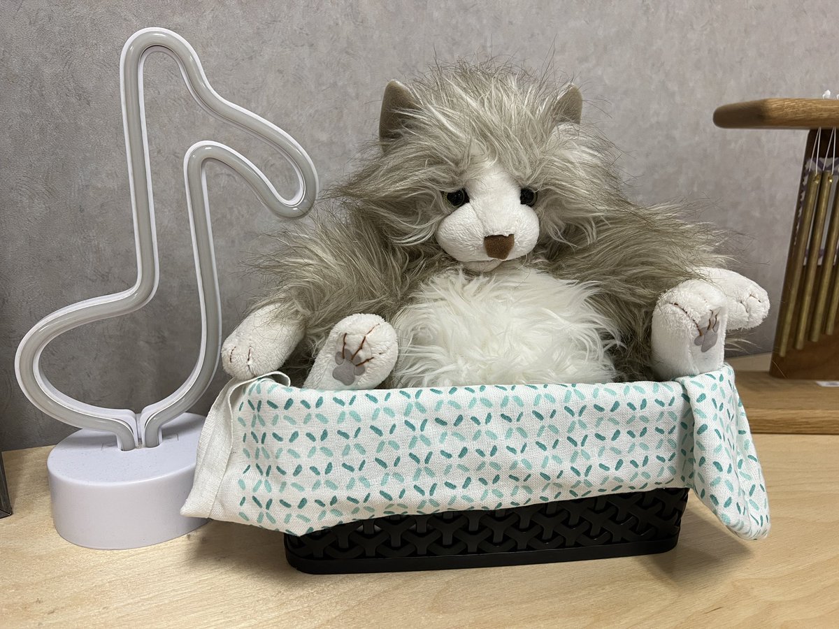 It's an exciting day in the Tully Music room... all of our Kinders have finally COPY CAT! She is a favorite friend in our room who helps us explore our voices! I'm so glad she came back this year for more music making! <a href="/tullyelemjcps/">Tully Elementary</a> <a href="/JcpsMusic/">JCPS Music</a> <a href="/JCPSKY/">JCPS</a>