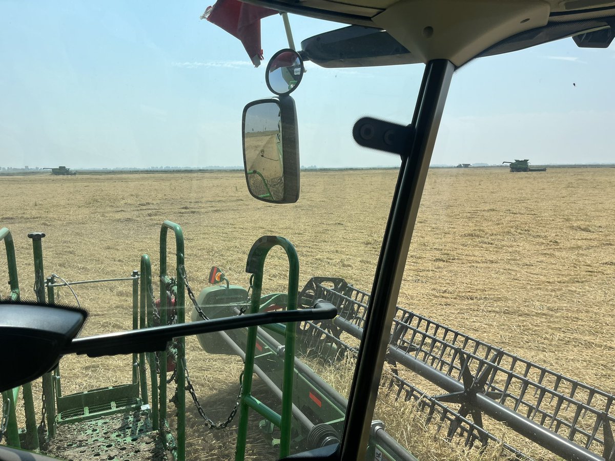 rsullivan12's tweet photo. Flat as a 🥞 🌾 #harvest23 https://t.co/R7YIVNIMv6