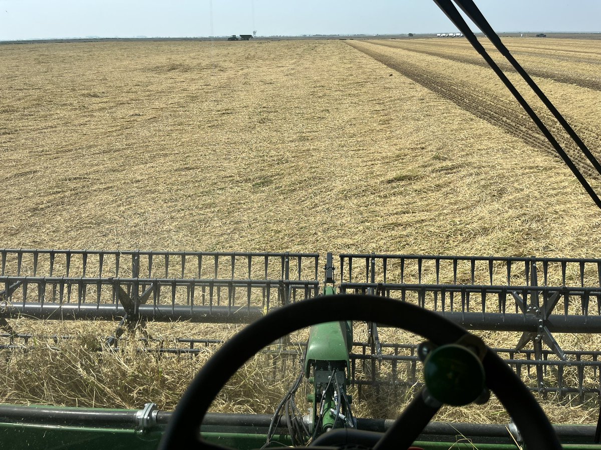 rsullivan12's tweet photo. Flat as a 🥞 🌾 #harvest23 https://t.co/R7YIVNIMv6