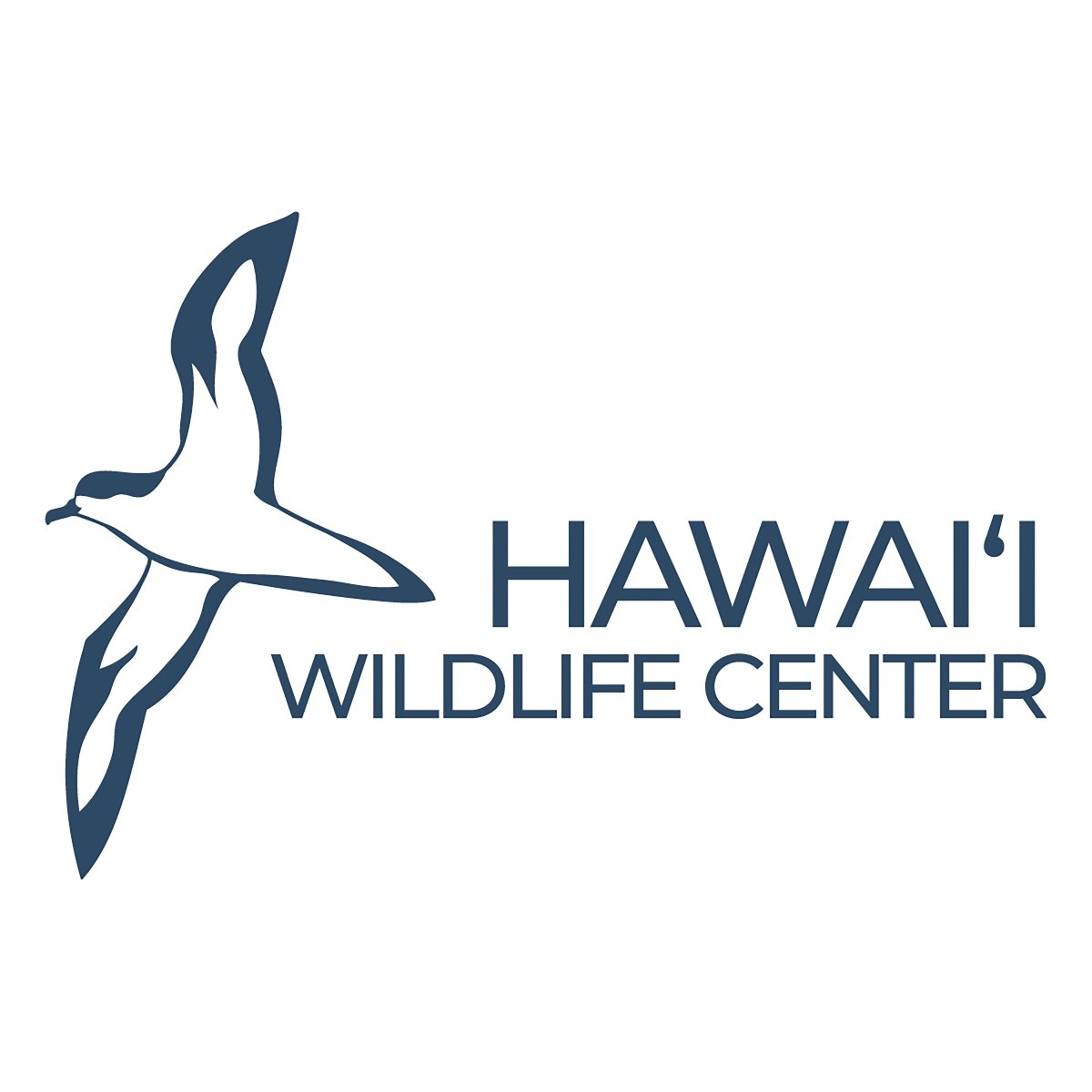 hawaiigeek's tweet photo. Joining us for the first time is the @HWCenter, providing emergency response, medical, and rehabilitative care for native birds and bats! Meet them at the 15th Hawaii Geek Meet on Sunday, Sept. 24, 2023 at Magic Island! #hawaiiwildlife #hawaiibirds #hawaiigeek #higeek #higeek2023 https://t.co/WhFOpo7Z0z