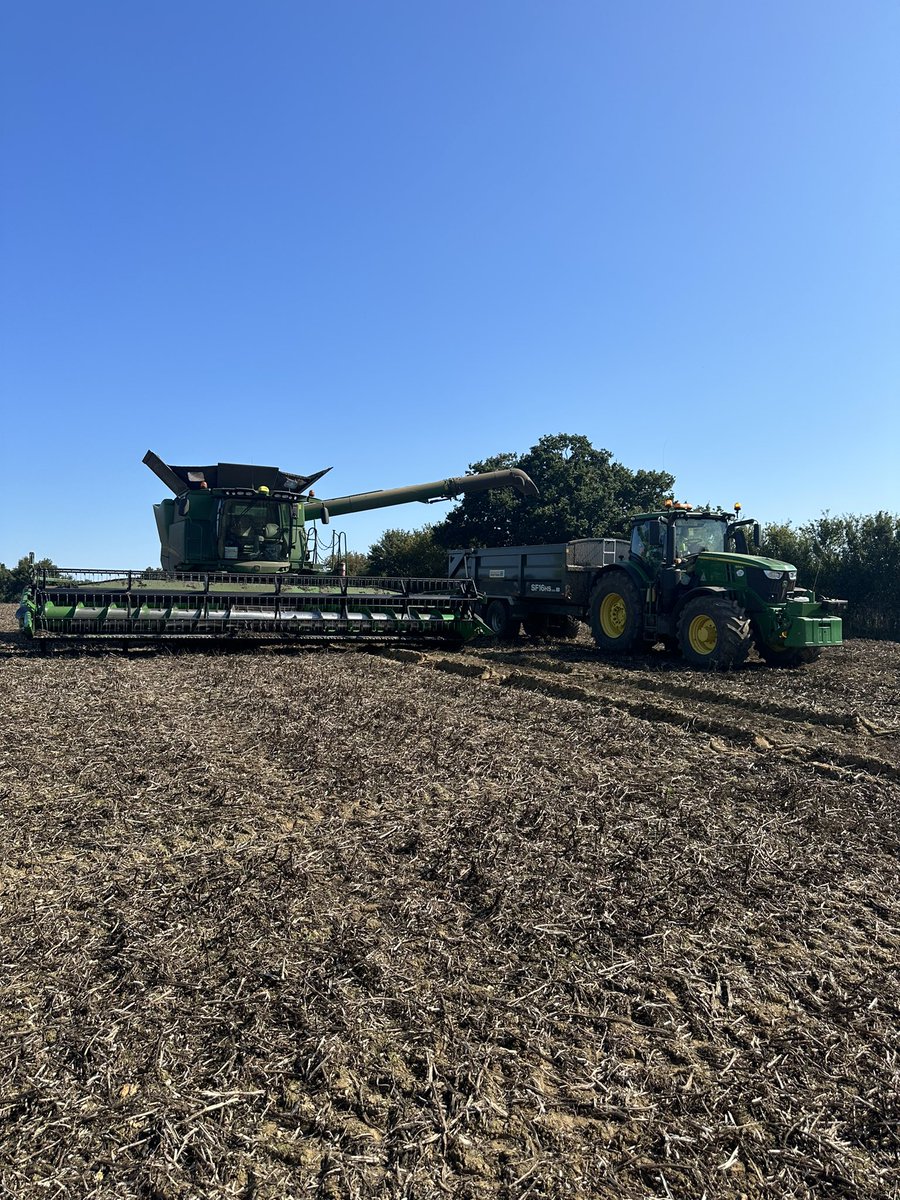 Harvest 2023 ✅ <a href="/WantisdenHallFa/">WantisdenHallFarms</a>