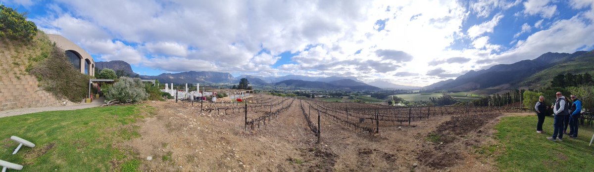 Basquiaty's tweet photo. @Lord_4D Place is amazing, spectacular views on each vineyard 🔥 🔥 https://t.co/HNvdNk91Tl