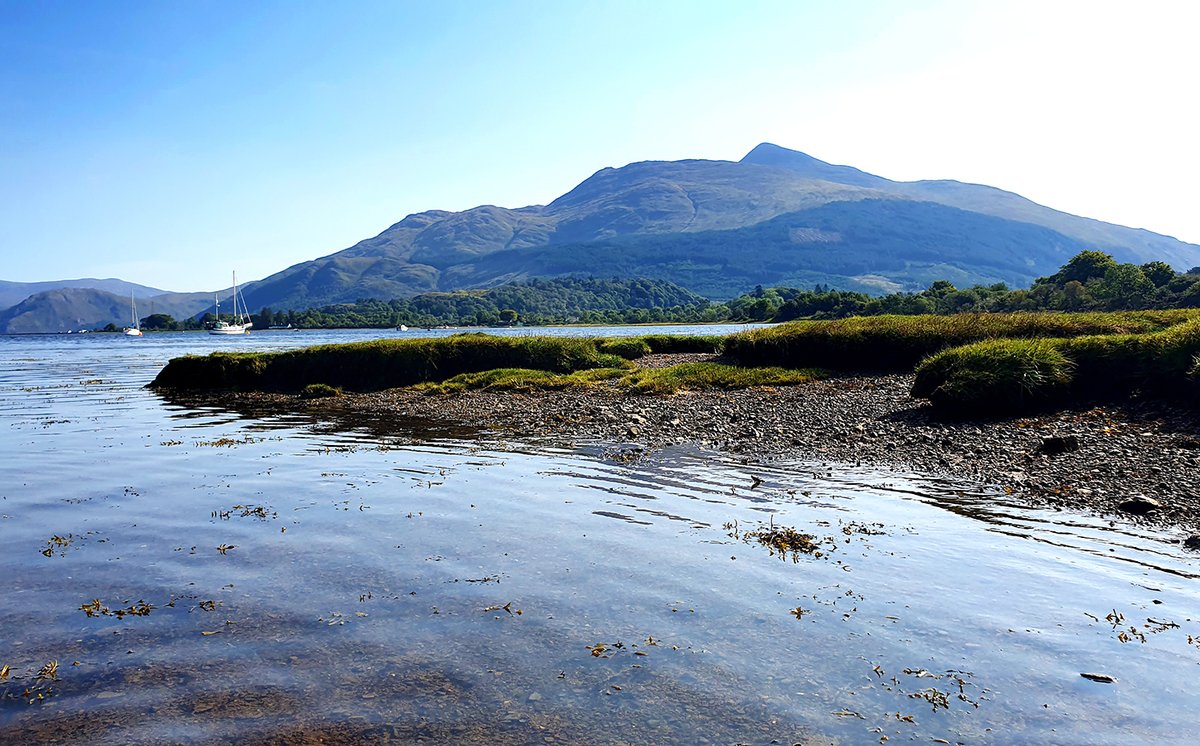 People say stereotypes are stereotypes for a reason, so as a Brit I'll kick my "X" account off by talking about the weather.
This is Scotland...in September. It's pushing 30 degrees Farenheit.
Christmas is three short months away.
Whut?
#notcomplainingmindyou