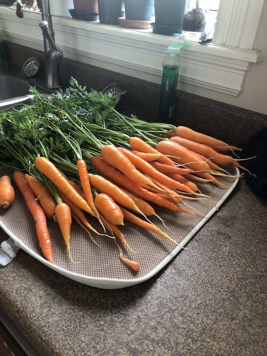 Harvest