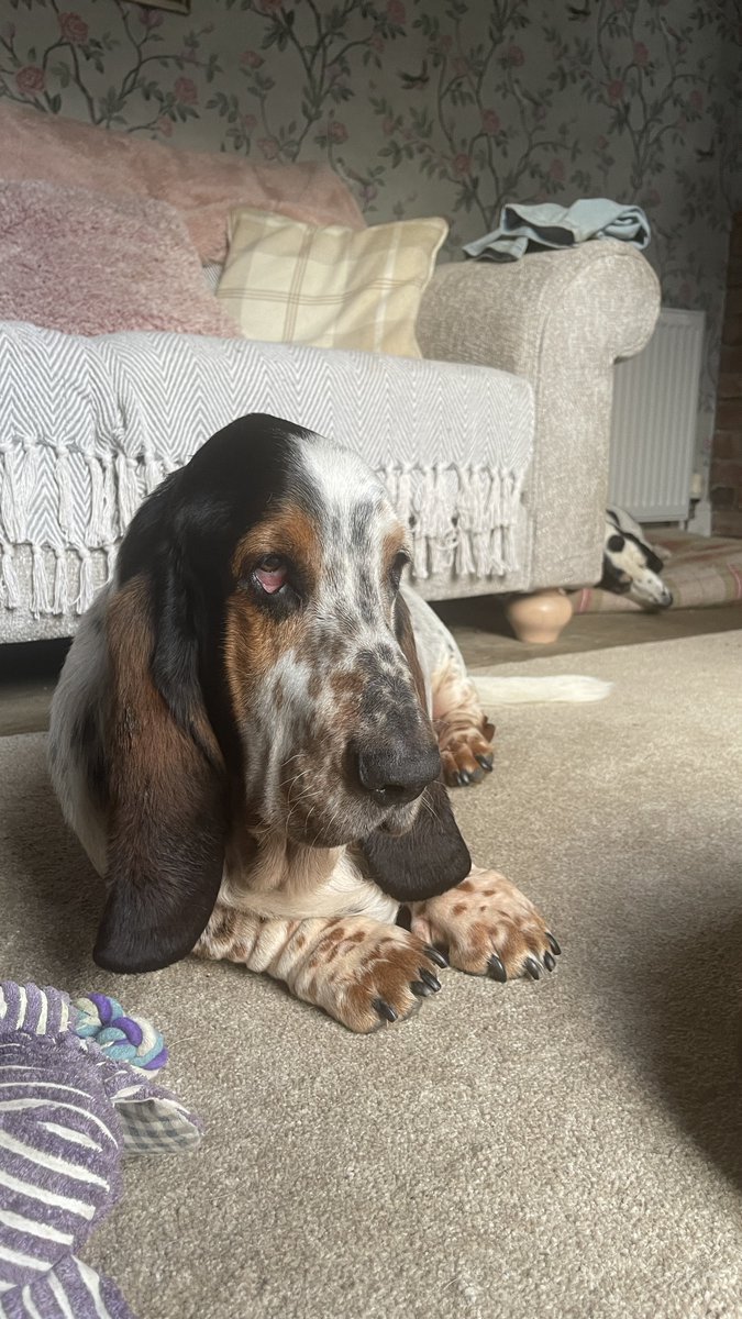 Phil Sledge tweet media