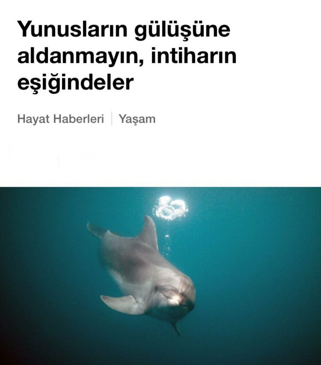 ANLIK (@anlikmod) on Twitter photo 