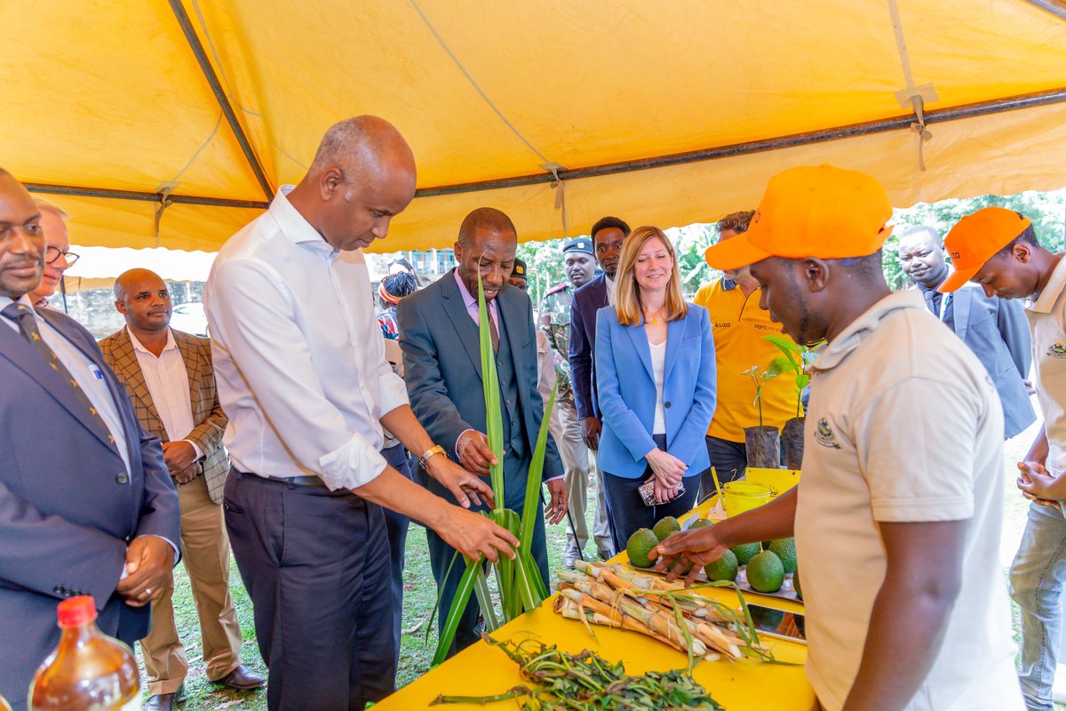 UNICEFKenya's tweet photo. .@unicefKenya &amp; @GenUnlimited_ met with young #agripreneurs benefitting from the public-private youth partnership model by @County_20 &amp; @Kuza_Biashara.

The project is using innovative #technologies to empower young people in #agriculture &amp; #business to improve their livelihoods. https://t.co/naJX5rE670
