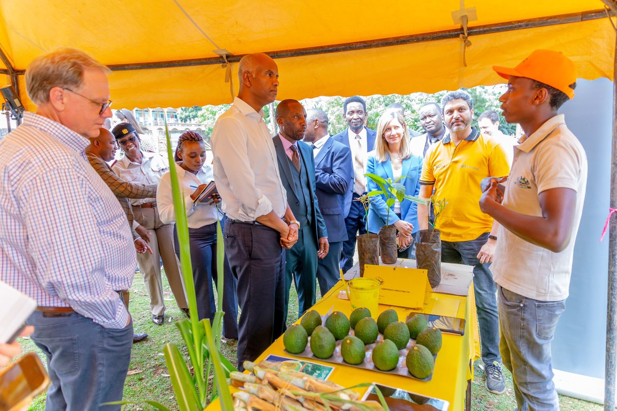 UNICEFKenya's tweet photo. .@unicefKenya &amp; @GenUnlimited_ met with young #agripreneurs benefitting from the public-private youth partnership model by @County_20 &amp; @Kuza_Biashara.

The project is using innovative #technologies to empower young people in #agriculture &amp; #business to improve their livelihoods. https://t.co/naJX5rE670