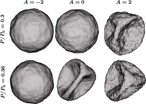 APSphysics tweet picture