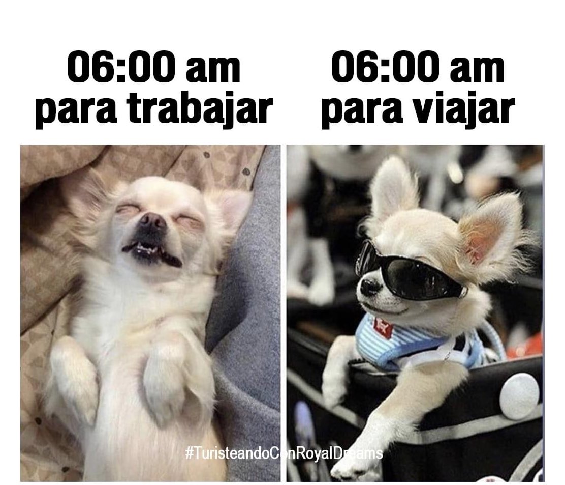 katyc2310's tweet photo. Siempre yo 🙊 https://t.co/0FIVXGkD53